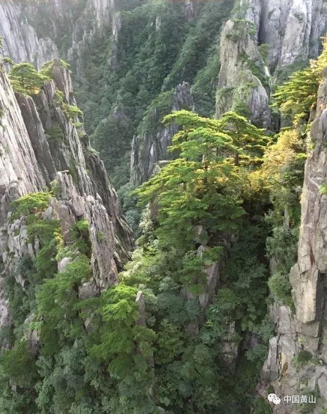 中欧（中亚）班列通行数量占全国五成以上 新疆双口岸通行超七万列