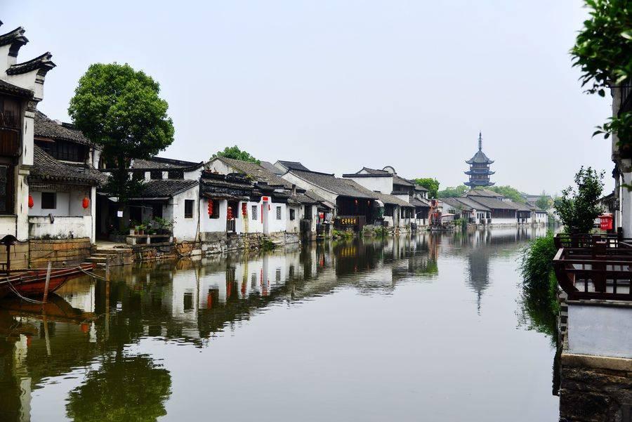 救援甜蜜熊
